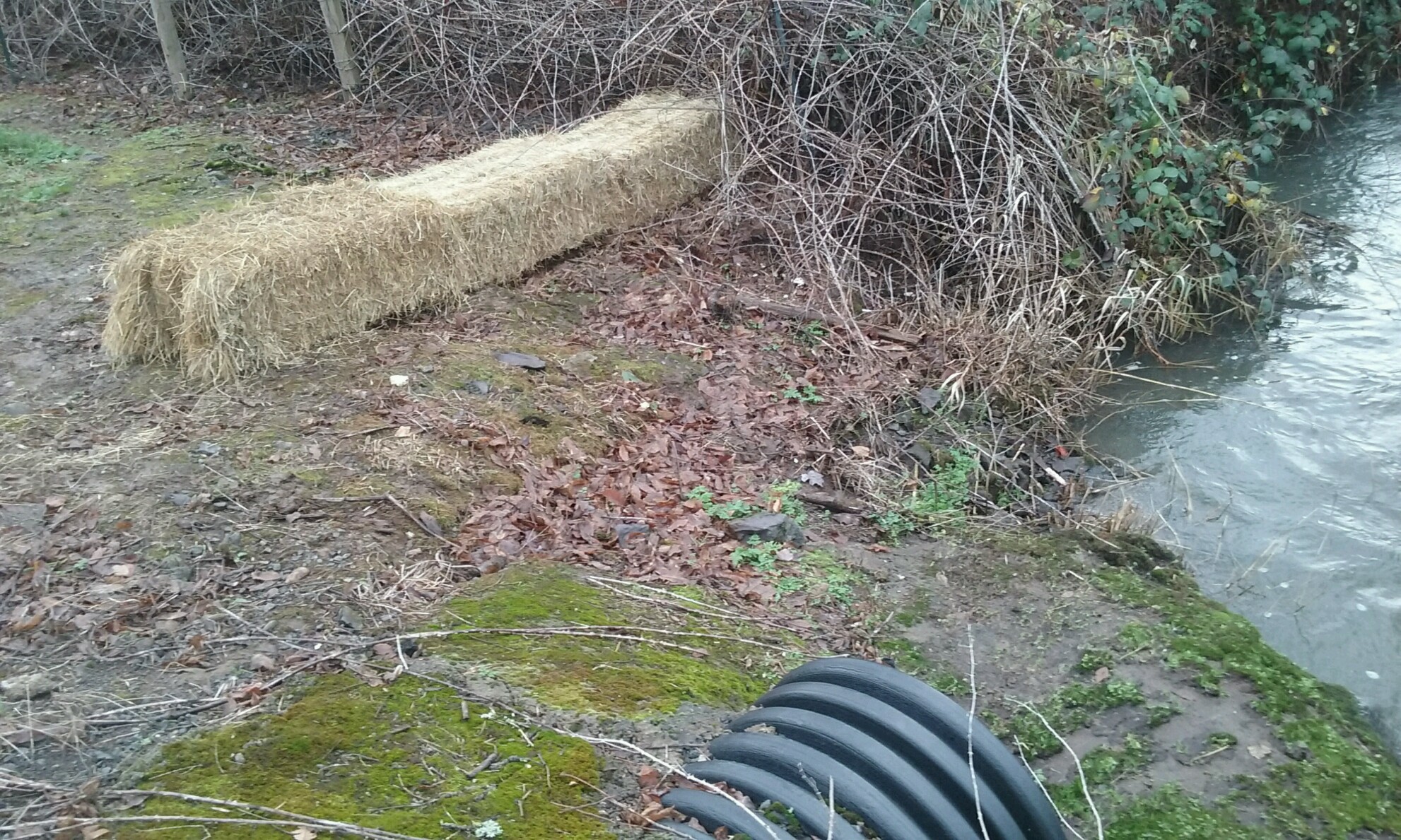 Outfall at Bear Creek 12-21-15