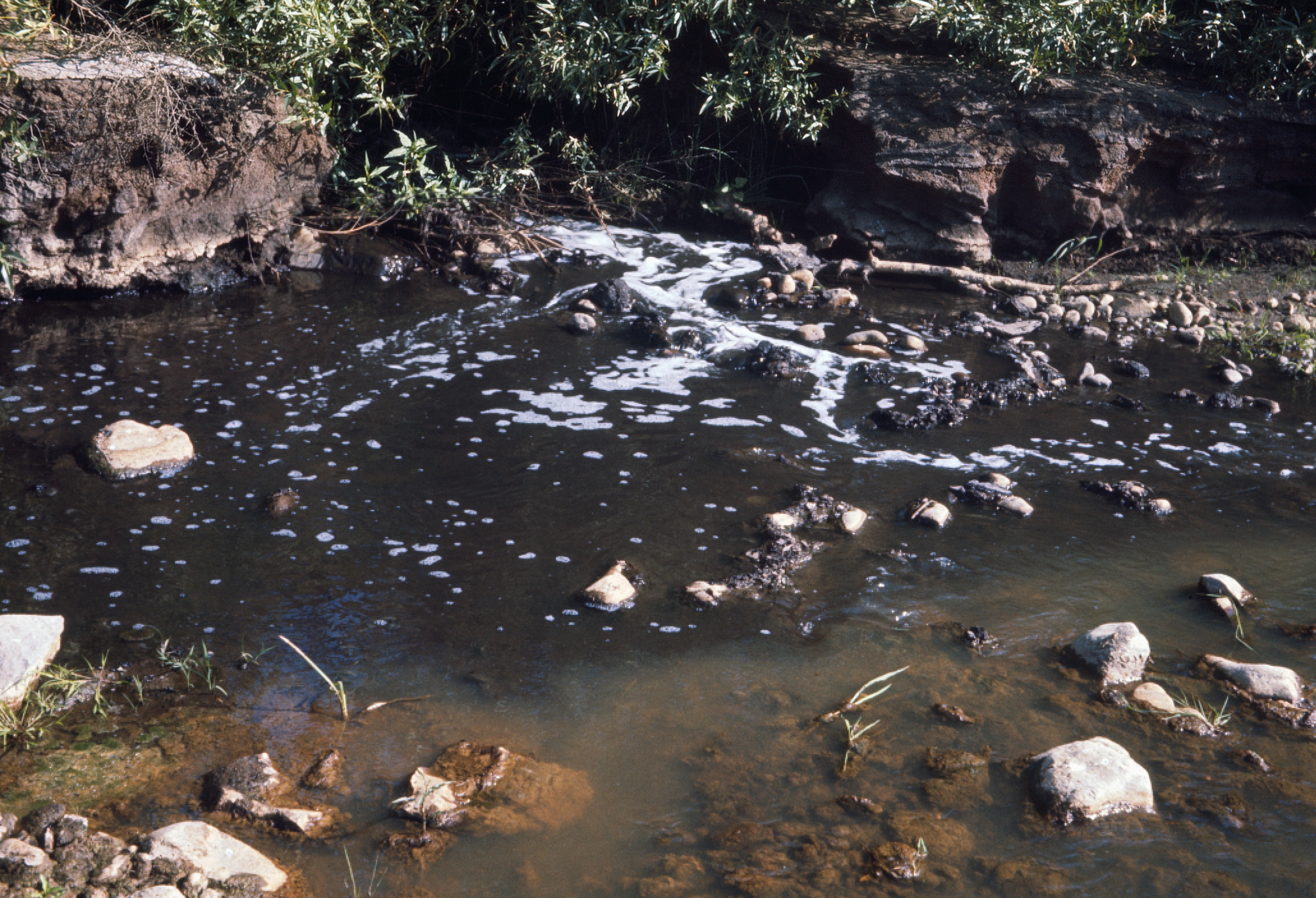ECSI1495-Outfall at Umatilla River-Aug 1969